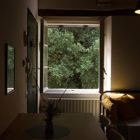 La Finestra Sul Parco Apartment Lucca Ngoại thất bức ảnh